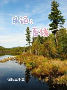 日系系统