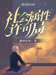 社会属性是什么属性