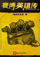 赛博英雄传顶点