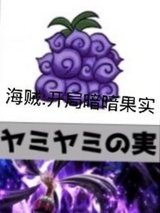 海贼之暗暗果实大将