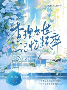 查理九世是什么书