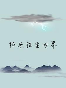 往生极乐世界视频大全
