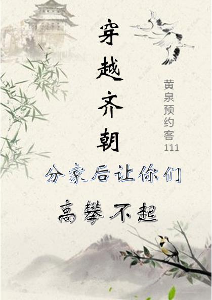 穿越之齐妃李氏