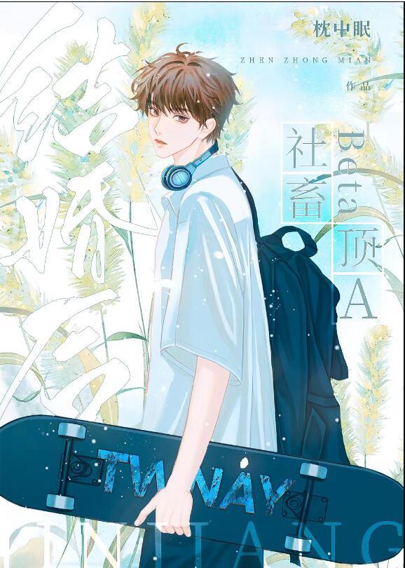 社畜beta和顶a结婚后(枕中眠)未删减版免费观看