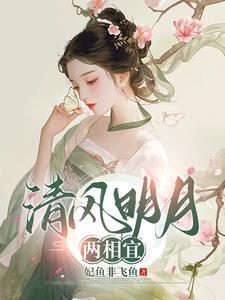 清风明月一相逢