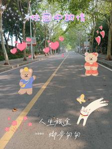 校园情作文600字作文