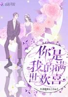你是我满世欢喜