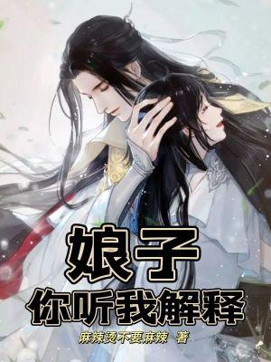 娘子你听我解释女主有几个