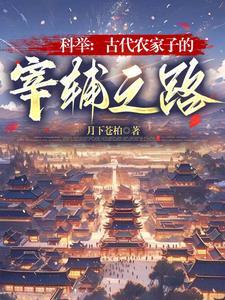 科举古代农家子的宰辅之路月下苍柏正版免费阅目录3q