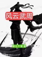 风云武功境界划分