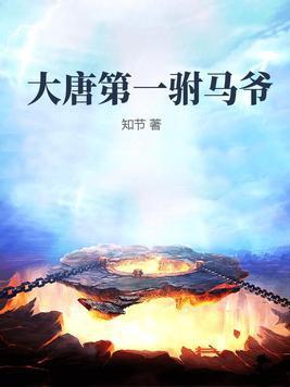 大唐第一驸马爷txt全本资源