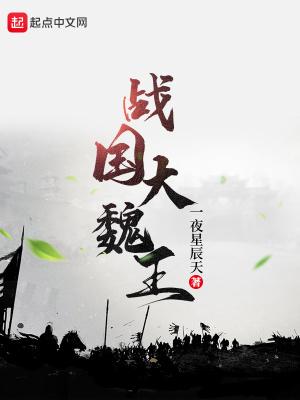 战国大魏王顶盛地图高清版最新版