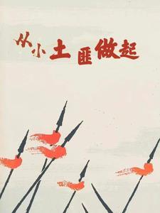 土匪是谁