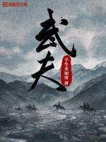 武夫中陈朝的身份