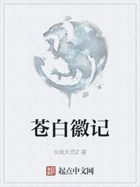 苍白徽记起点
