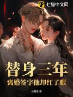 替身离婚后番茄