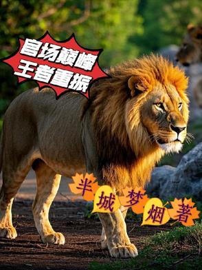 2021年巅峰官场