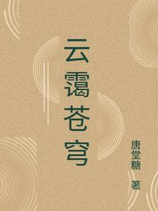 苍穹云帅云天烛免费