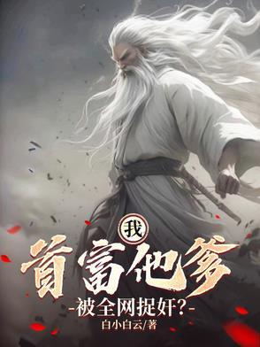 首富是我儿