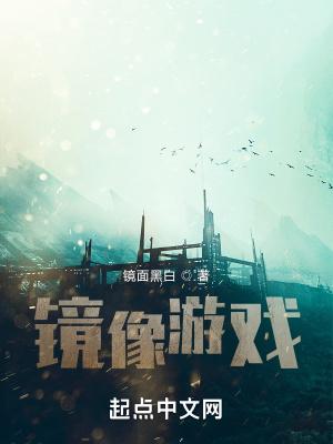 镜像游戏文件