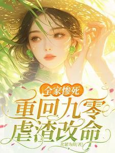 重生九零辣媳当家
