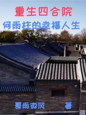 重生之四合院之何雨住