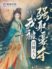 重生后我成了首辅夫人晋江
