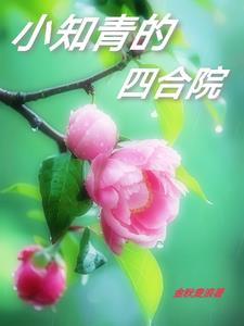小知青的四合院免费完整版