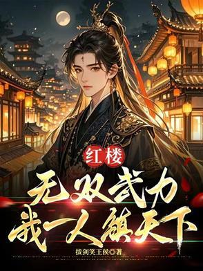 红楼无双武力