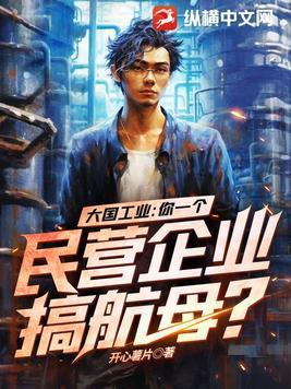 大国工业你一个民营企业搞航母? 第1043章