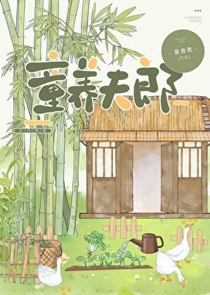 裴家夫郎TXT百度