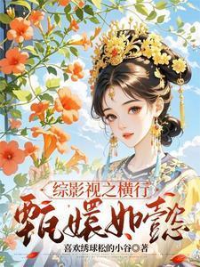 综穿影视之甄嬛传