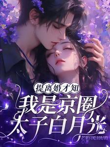 提离婚才知我是京圈太子白月光免费阅读