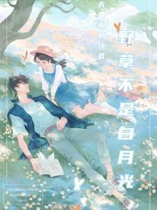 野荷刺野草不是白月光
