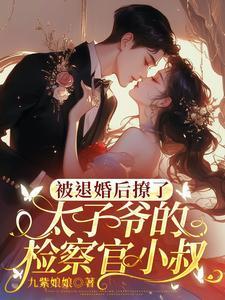 被退婚后成了太子妃庄小九免费阅读