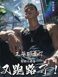 三爷宠妻太操心免费阅读全文