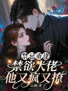 禁欲boss等等