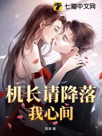 机长请降落在哪可以看