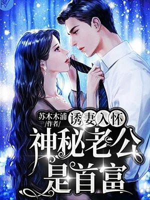 神秘老公诱追妻