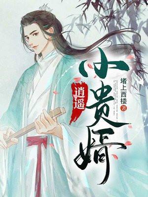 逍遥小贵婿百科