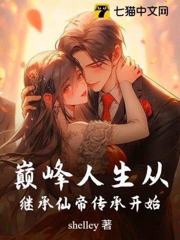 巅峰人生陈风