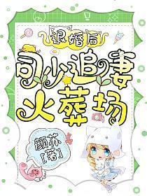 司少追妻火葬场!第904章她的老