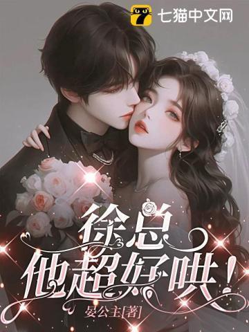 徐总什么意思