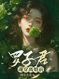 罗子君魂穿离婚前一树小火花 / 著