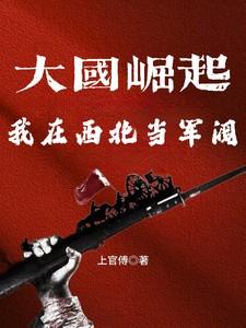 主角在西北崛起的