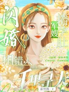 闪婚相错人军嫂揣孕肚千里寻夫
