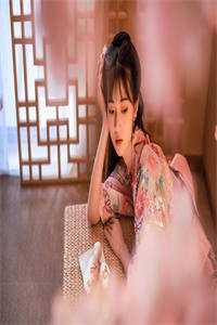 女主苏晚免费阅读全文