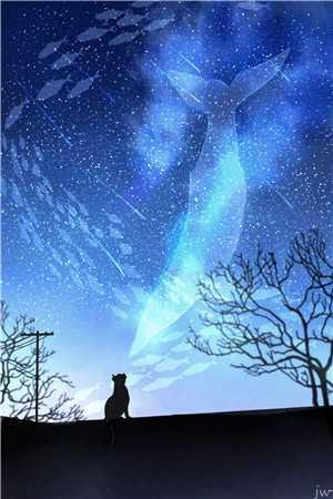 刘星马超