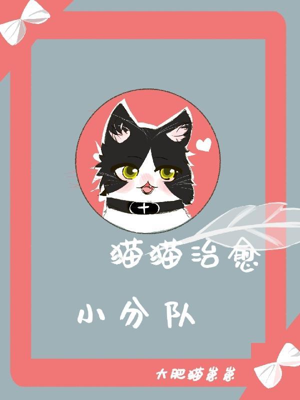治愈系小猫咪