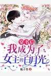 沈念顾柏南穿越
